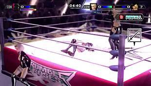 Rumble Roses and Ryona Rumble from wild, rugged to wild and intense wrestling session