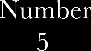 義母と義娘との秘密のヴィンテージライフ