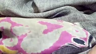 Pranavi Masturbating Hard with Dirty Audio Talk!