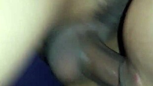 Suggestive Creampie Encounters With Eager Lovers