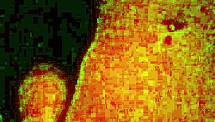 chelsea enjoys her solo time