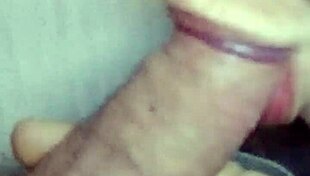 my fat mature lady is givin me a slopy blowjob from my pov, suckin it deep n hard with her wet mouth