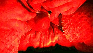 are you ready to surrender as a tied slave for my cock?