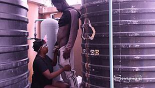 Nikky Clarisse In Black Lingerie Gets Dominated