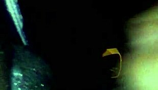 Sloppy Ebony Blowjob with Deepthroat and Cum in Mouth