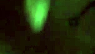 atlanta woman fresh out of jail sparks intrigue