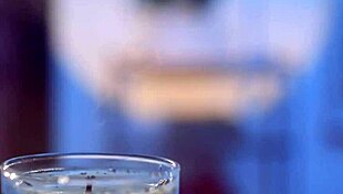 Elena Koshka exclaims, 'Ride my hairy pussy harder!'