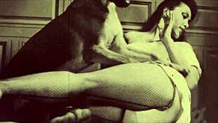 Hairy pussies antique vintage porn