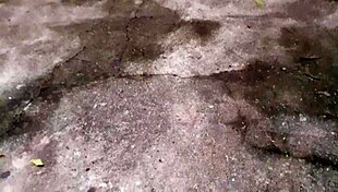 Эй, я просто гей-бразилец дрочу в лесу, ок?