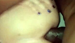 Kingblack opens tight space for wandering pet with thick rope