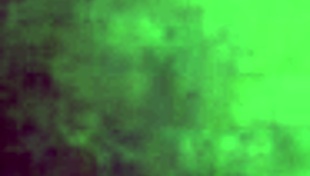 i found someone that likes to fuck me, still in trainin' tho