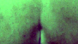 mature guy and young lad hook up