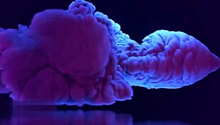 Cum In Your Whore's Ass, Cuckold