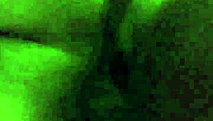 How do you make love with amateurs