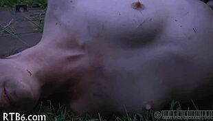 Amateur Sadomasochism Involves Bondage, Discipline, And Painful Pleasures.