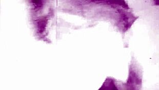 dark lantern presents two centuries of vintage sadomasochism 😊