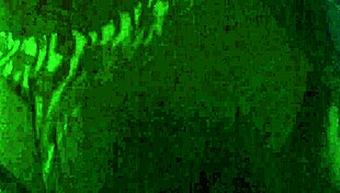 feeling the intense creampie release with amateurs