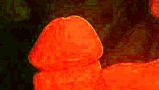 She is bound and plays with her cock in bondage