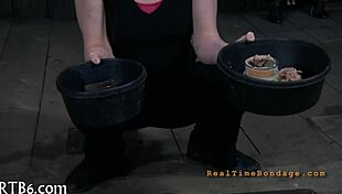 Four Beauties Inside Tiny Cage