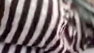 Watch These Webcam Girls Perform Wild Shows!