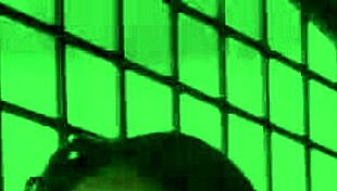 blonde milf pornstar in rough threesome blowjob and deepthroat