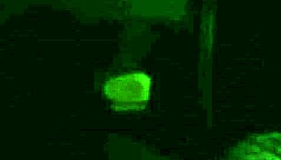 20151231 230006 arab cowgirl riding session