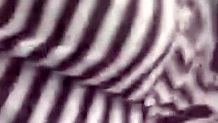 Watch These Webcam Girls Perform Wild Shows!