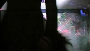 Wild party spirals into hardcore orgy