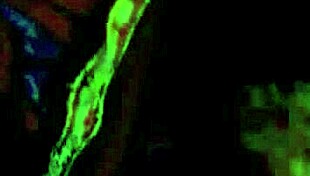 my secret life erotic story