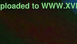 Wild party spirals into hardcore orgy