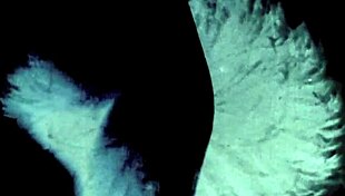 Dark Lantern Presents Intense Vintage Porn from Two Centuries.