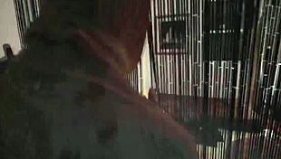 Arab girlfriend desert rose filled by long rod in wild passion.