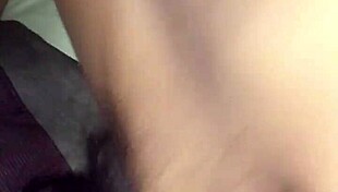 Sloppy Old Video Recorded on December 11 2016