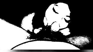 Are these amateurs giving amazing mamadas to each other?