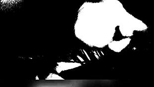 Are these amateurs giving amazing mamadas to each other?