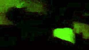 Did you see Tiff's first BBC MFM?