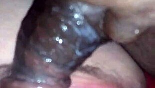 husband and wife indulging in hardcore fucking session