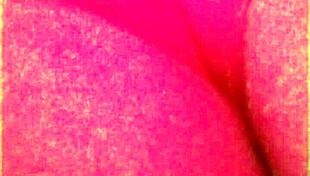 Exploring the Sexy Fat Pussy in Tight Leggings