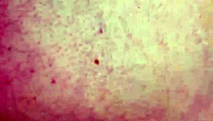 I love that fat bbw pussy for anal sex