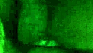 Intense ebony cock ride