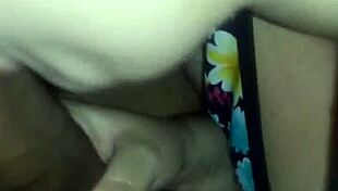 Exploring the rich culture and diverse landscapes of Brazil