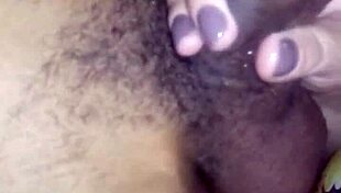 Exploring the rich culture and diverse landscapes of Brazil