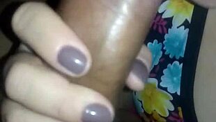 Exploring the rich culture and diverse landscapes of Brazil