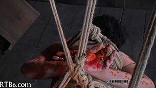 Extreme Sadomasochism Scenes