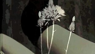 Victorian Gentleman's Secret Adventures In Retro Era