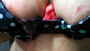 Hotty Wild Cat Rita Plays With Watermelon Innocently