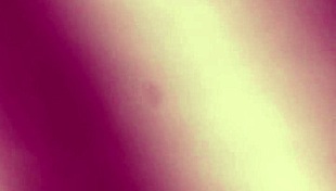 Bosshoggy stroking my big cock!