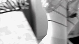 cibely yasmin, show me your shemale body