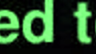 Por el culito, what do you think?