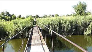 A sexy milf walks naked on a hanging bridge over a nudist river beach.
